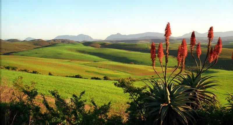 2 Bedroom Property for Sale in Albertinia Western Cape